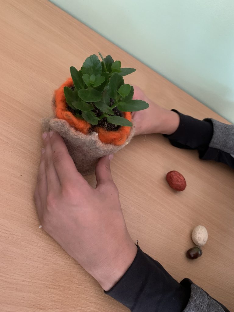 uczniowie przygotowują zielone niespodzianki z okazji DEN