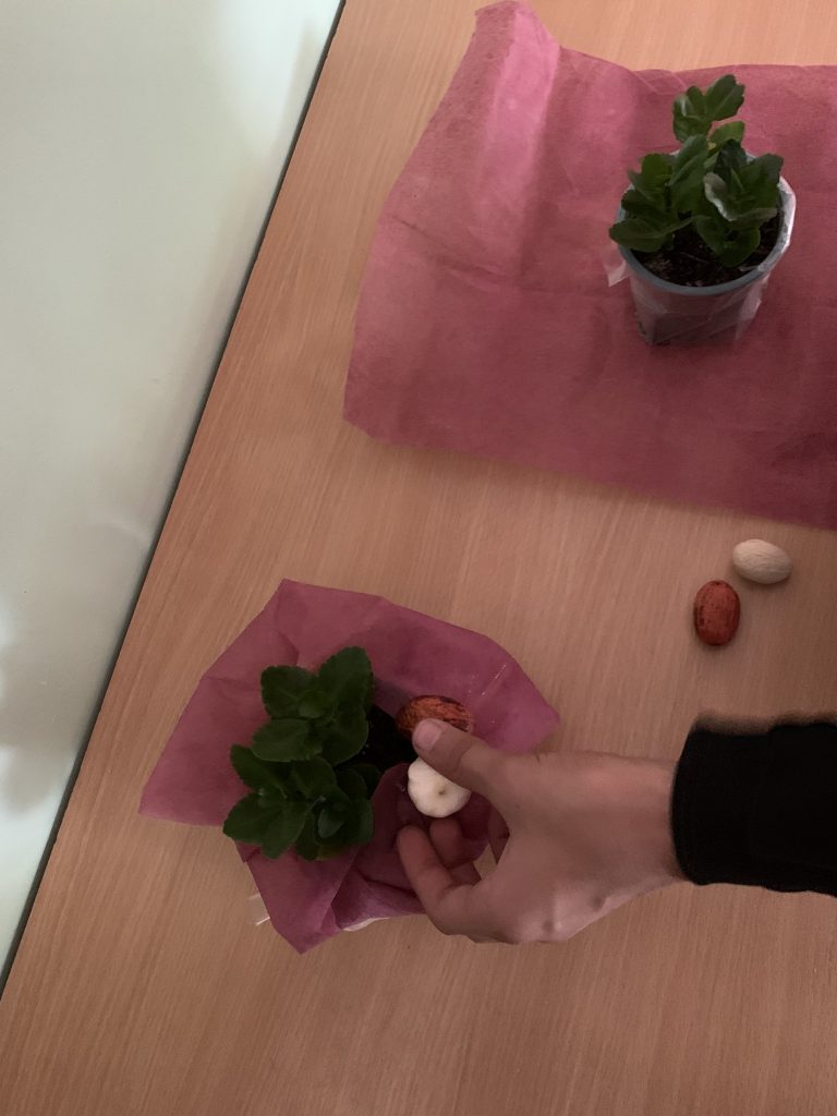 uczniowie przygotowują zielone niespodzianki z okazji DEN