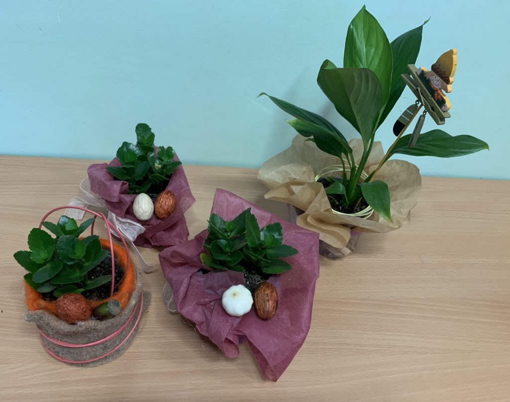 uczniowie przygotowują zielone niespodzianki z okazji DEN