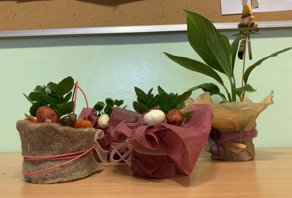 uczniowie przygotowują zielone niespodzianki z okazji DEN