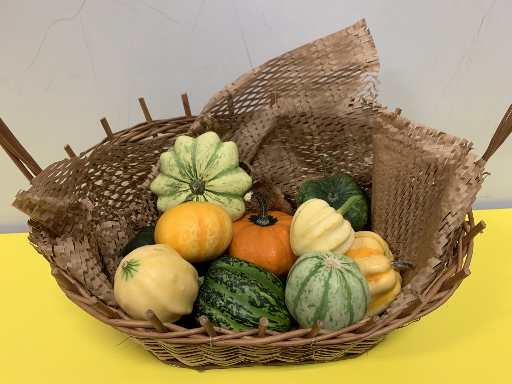 uczniowie zbierają dynie ozdobne