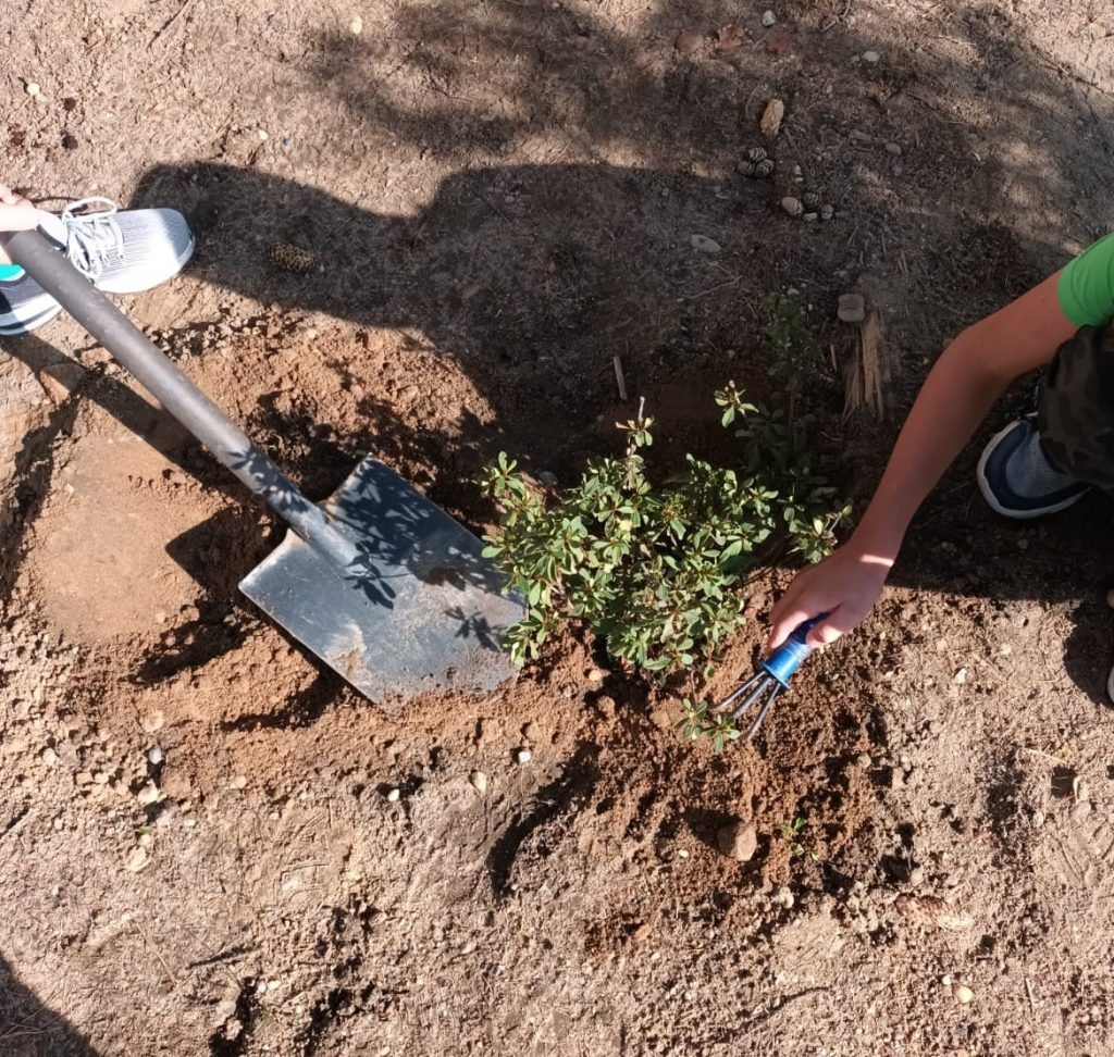 jesienne prace w szkolnym ogrodzie
