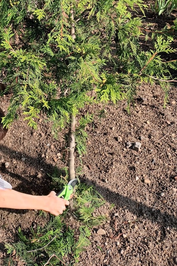 jesienne prace w szkolnym ogrodzie