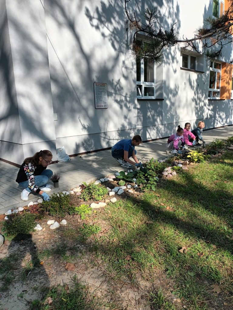 jesień - uczniowie sadzą wrzosy