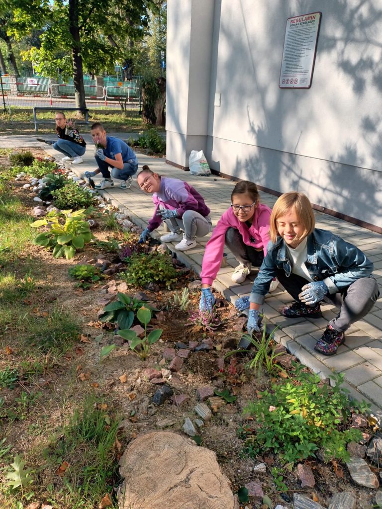 jesień - uczniowie sadzą wrzosy