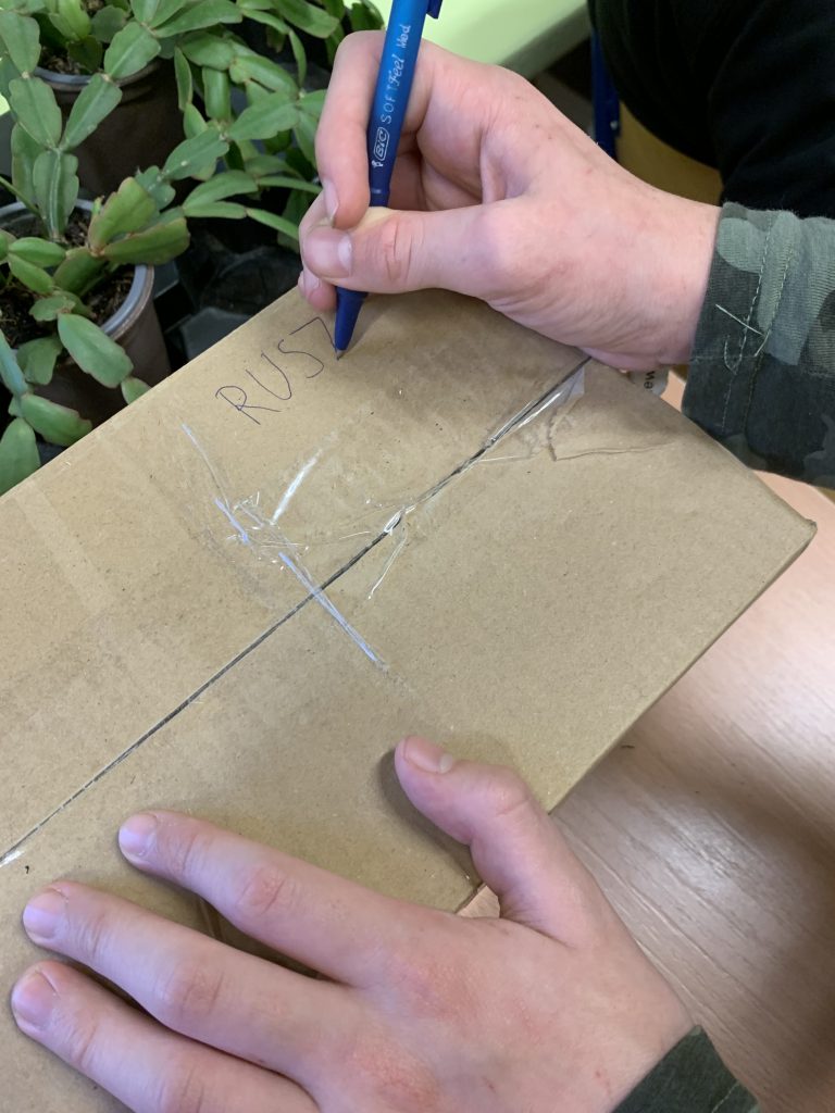 uczniowie eksperymentują z roślinami