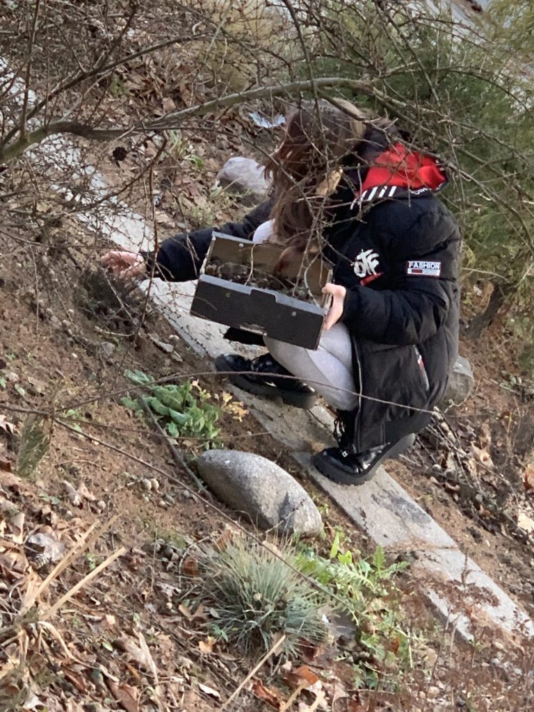 uczniowie wykonują poświąteczne prace w ogrodzie