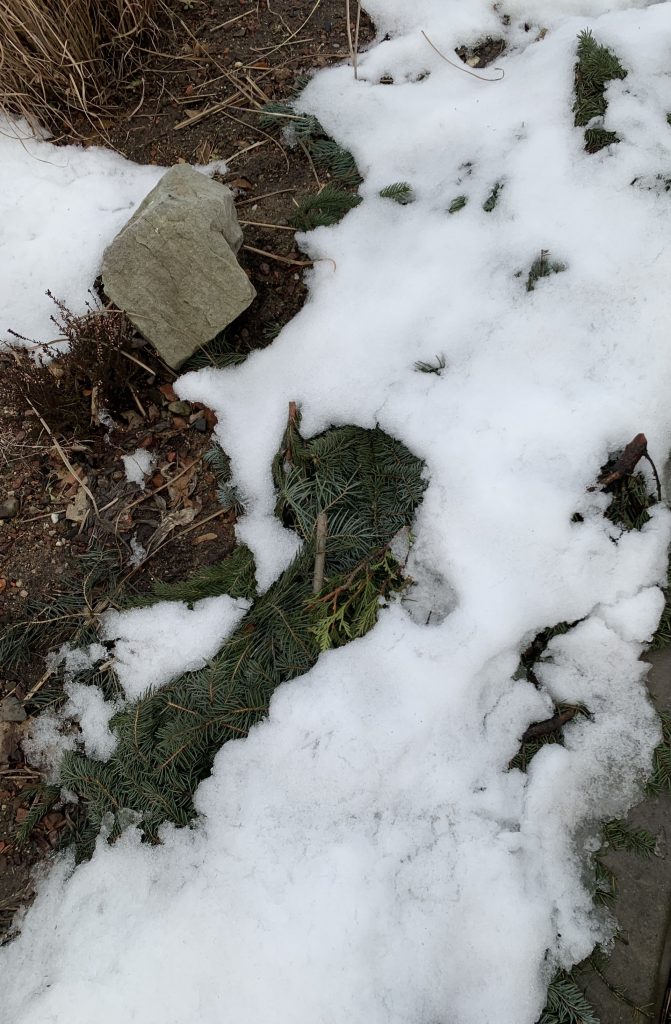 uczniowie wykonują poświąteczne prace w ogrodzie