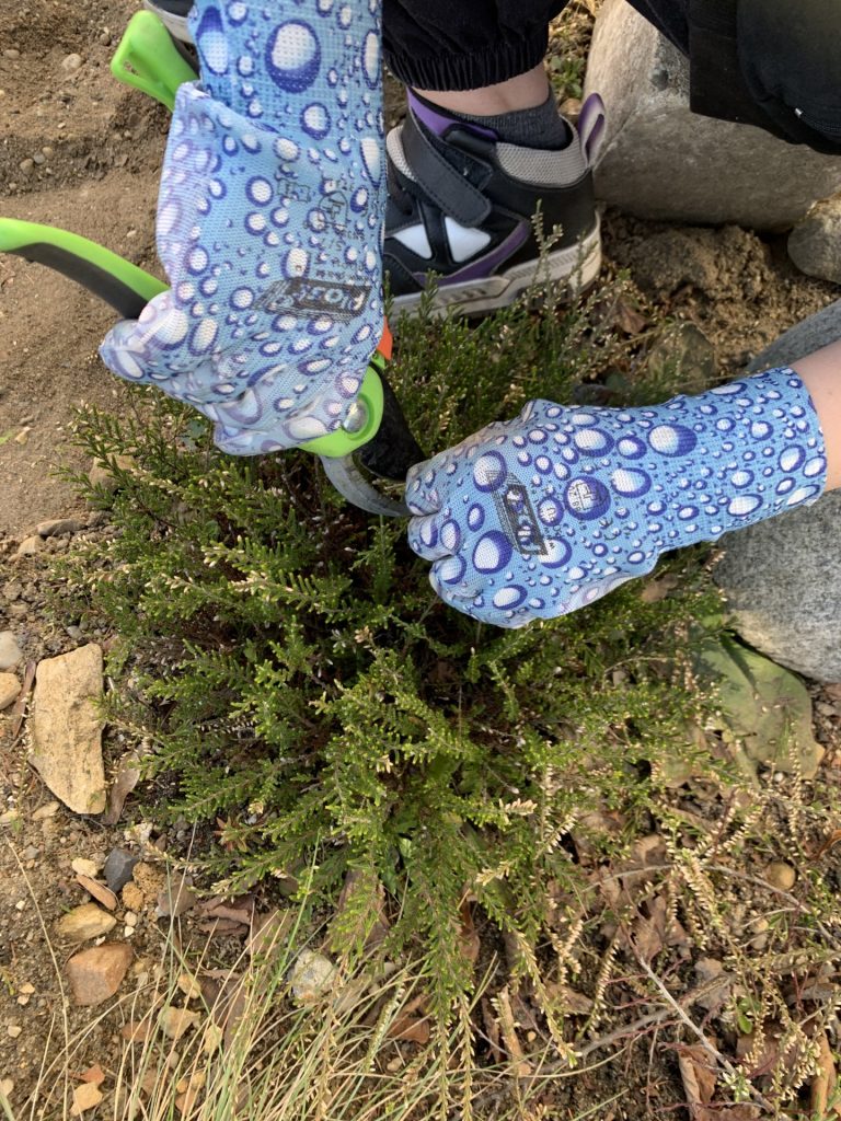 uczniowie wykonują przedwiosenne porządki w ogrodzie