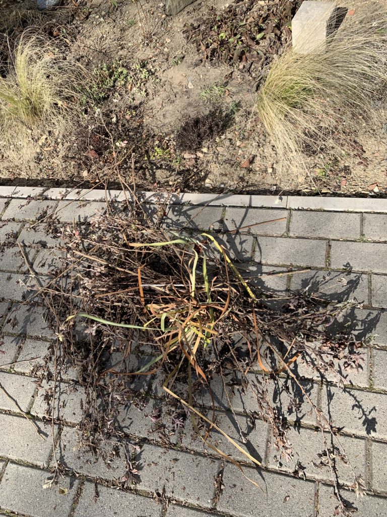 uczniowie wykonują przedwiosenne porządki w ogrodzie