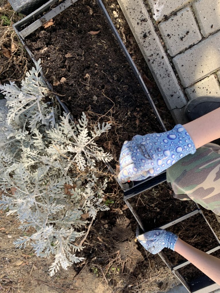 uczniowie wykonują przedwiosenne porządki w ogrodzie