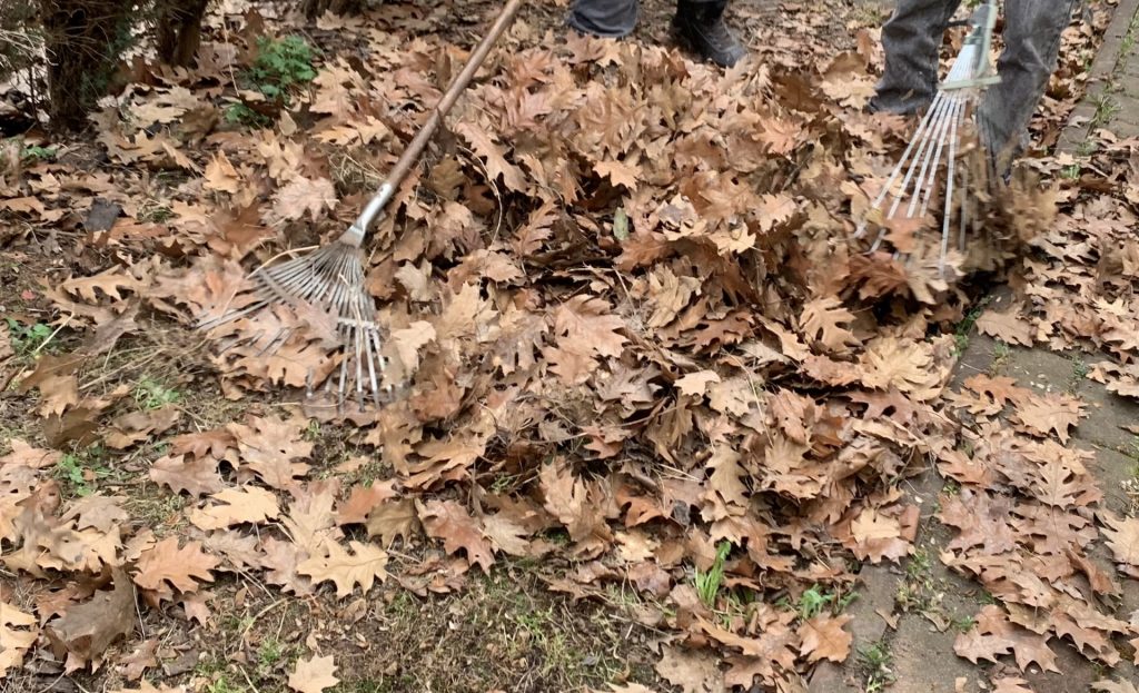 uczniowie pomagają w pracach porządkowych w ogrodzie