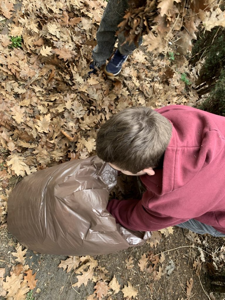 uczniowie pomagają w pracach porządkowych w ogrodzie
