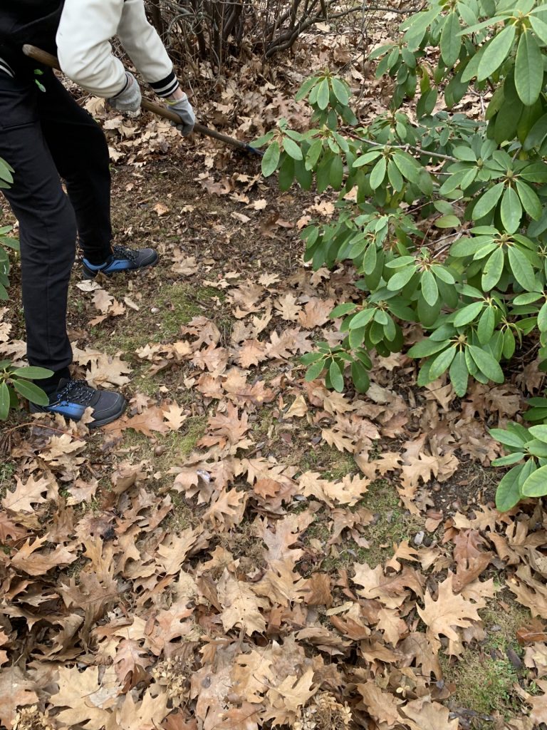 uczniowie pomagają w pracach porządkowych w ogrodzie