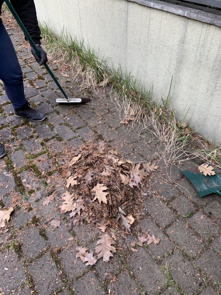 uczniowie pomagają w pracach porządkowych w ogrodzie