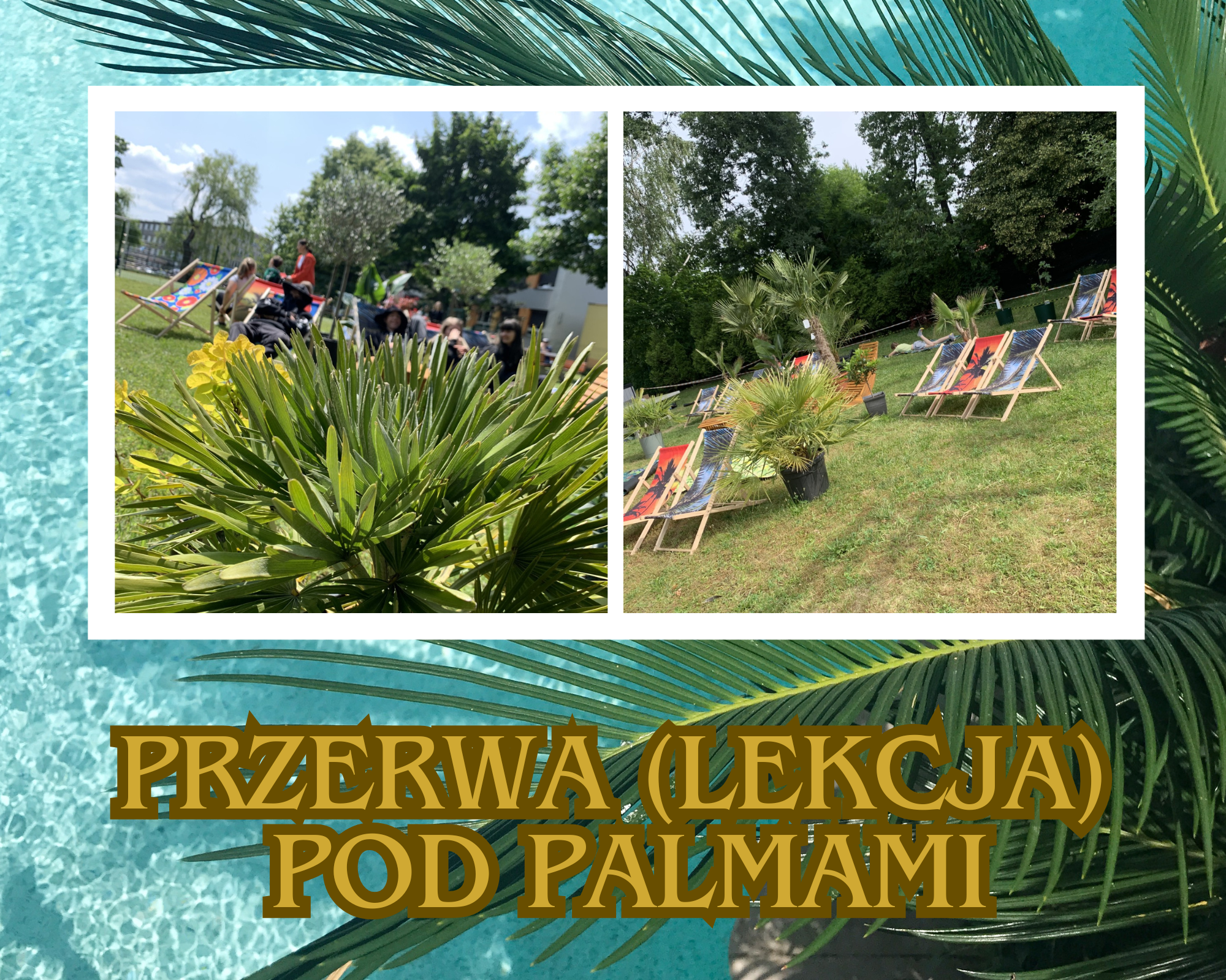 projekt przerwa pod palmami