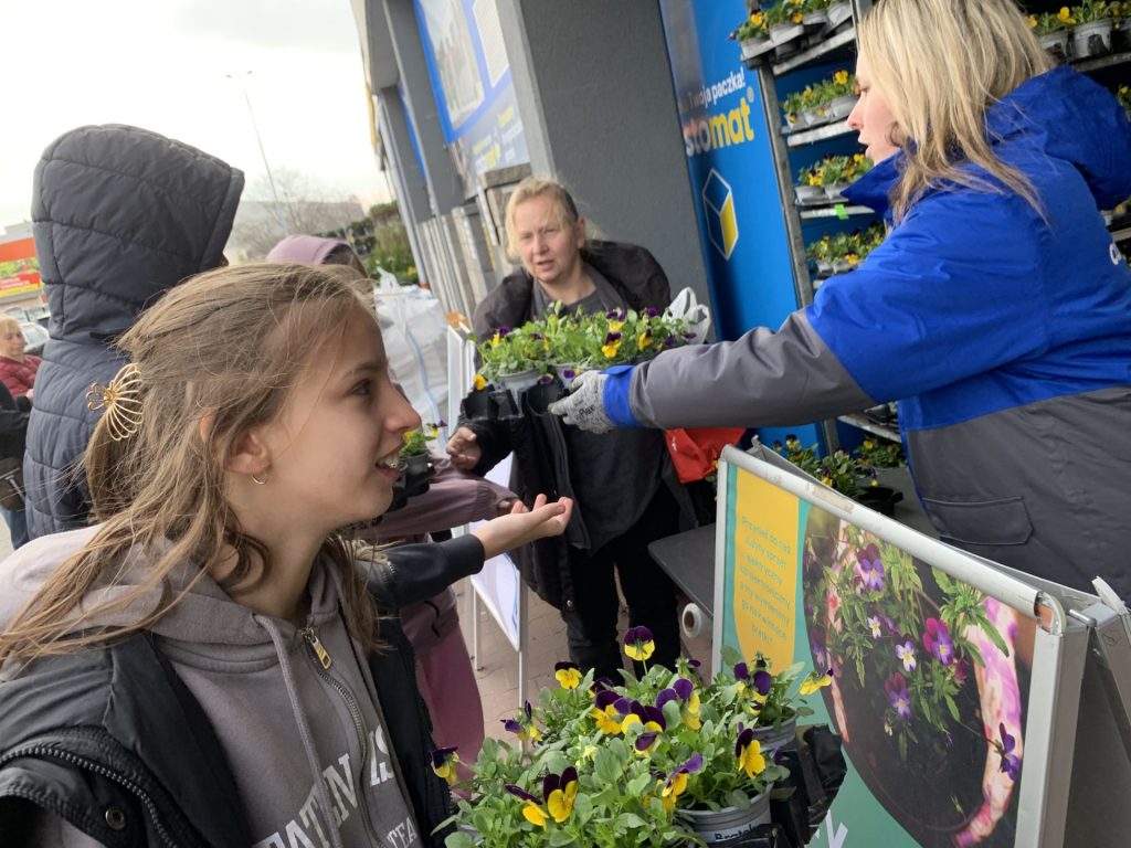 Udział uczniów sps 7 rybnik w akcji Kwiaty za elektrograty Castorama