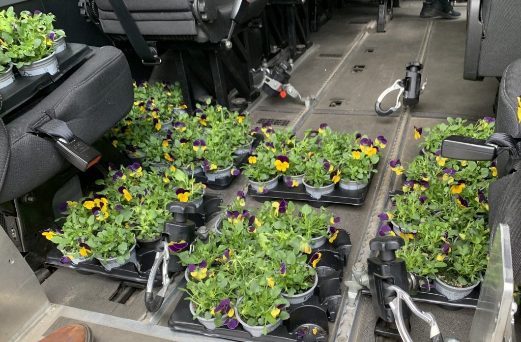 Udział uczniów sps 7 rybnik w akcji Kwiaty za elektrograty Castorama