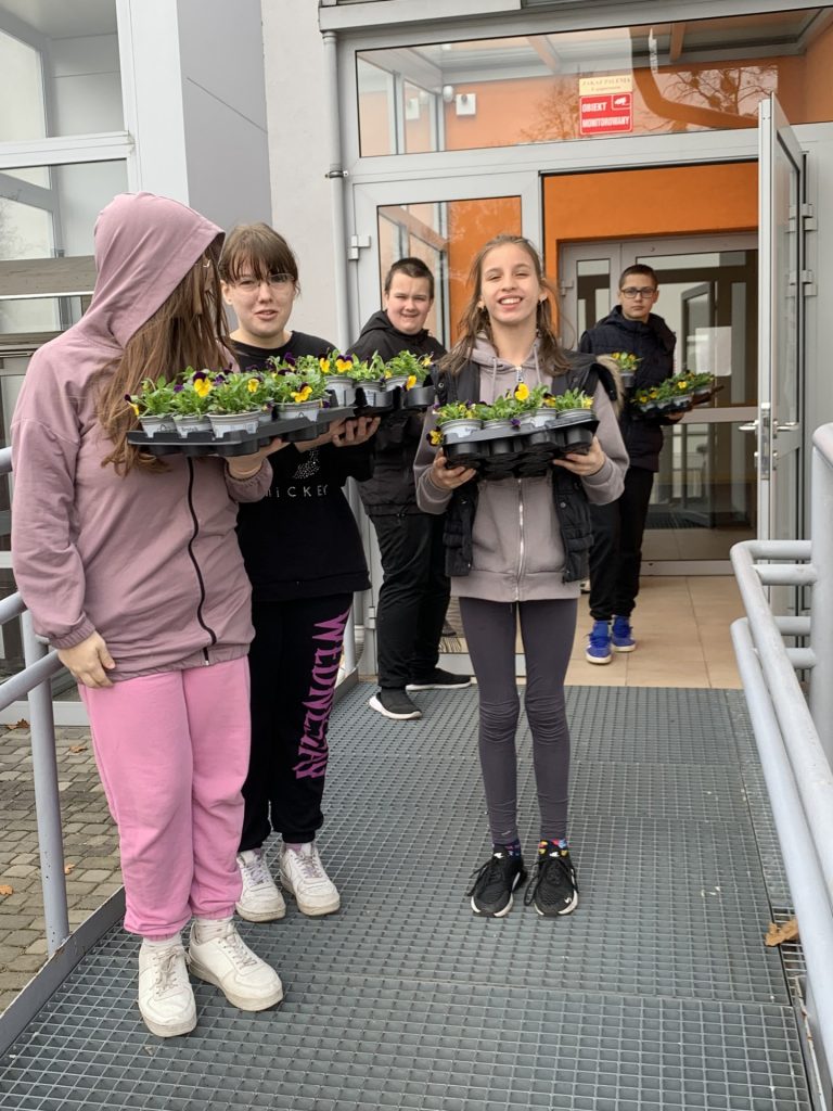 Udział uczniów sps 7 rybnik w akcji Kwiaty za elektrograty Castorama