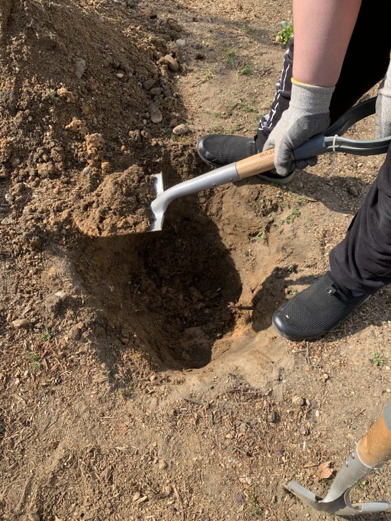 hortiterapia w sps7 rybnik