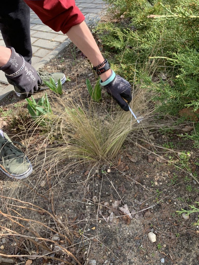 hortiterapia w sps7 rybnik