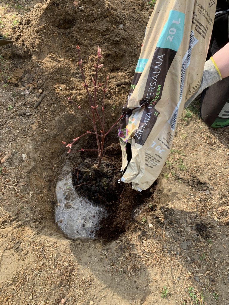 hortiterapia w sps7 rybnik