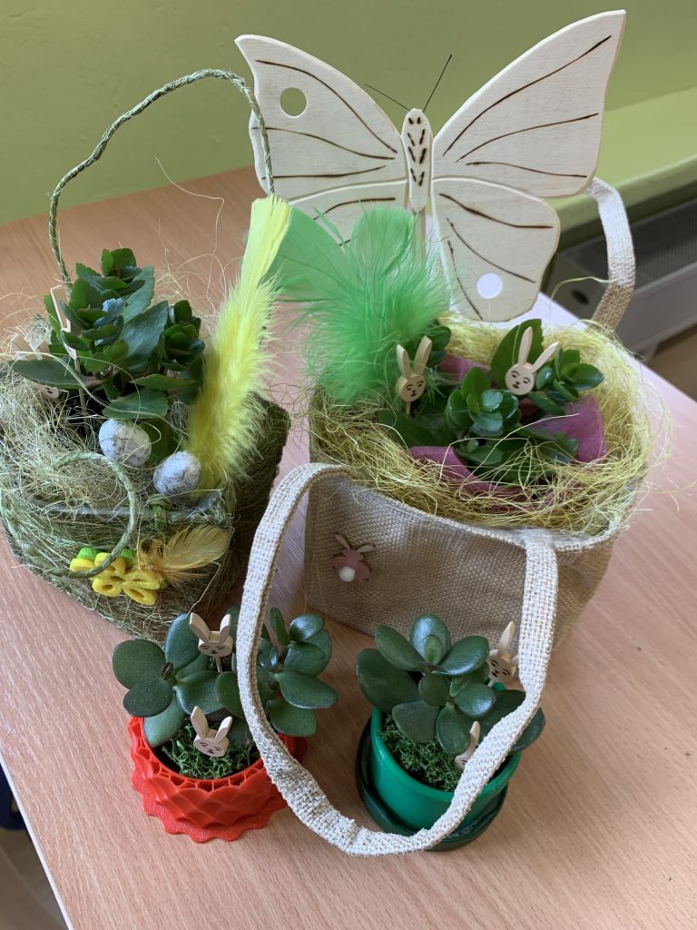 hortiterapia w sps7 rybnik