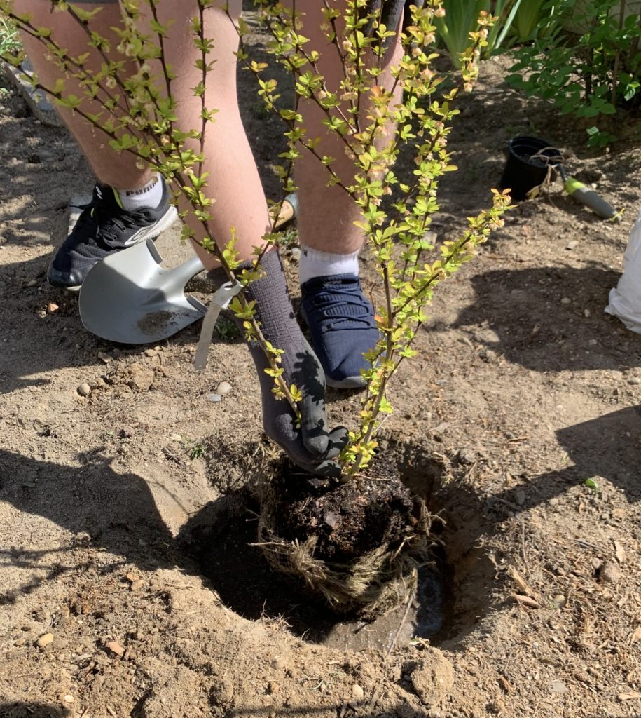 hortiterapia w sps7 rybnik