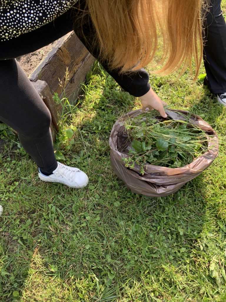 hortiterapia w sps7 rybnik