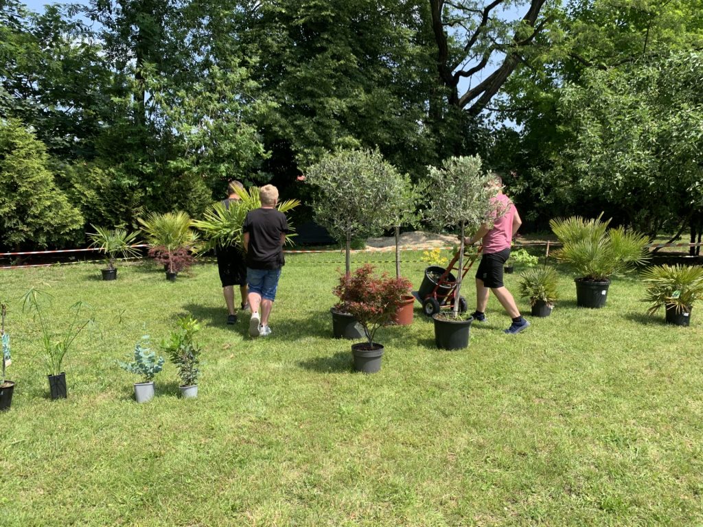 projekt przerwa (lekcja) pod palmami