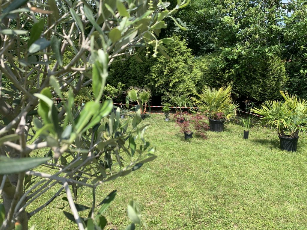 hortiterapia w sps7 rybnik