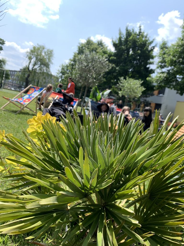 hortiterapia w sps7 rybnik