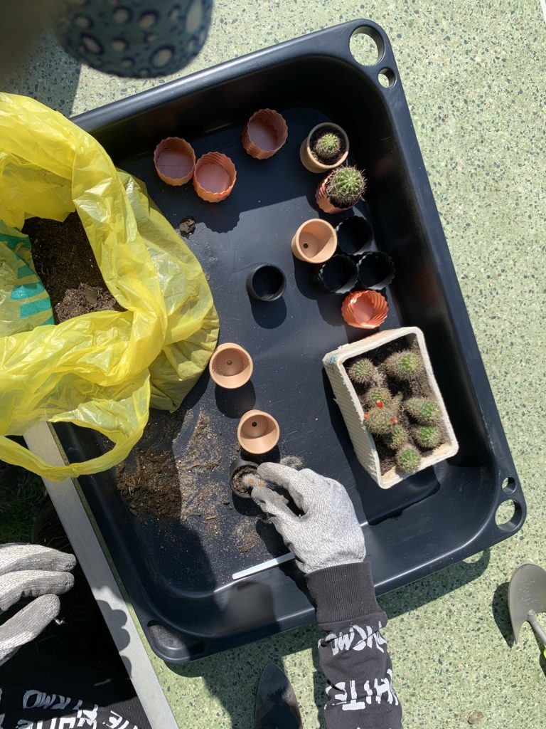 hortiterapia w sps7 rybnik