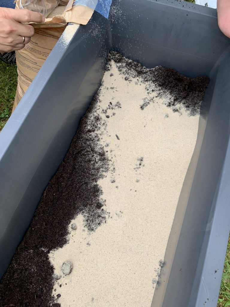 projekt przerwa (lekcja) pod palmami