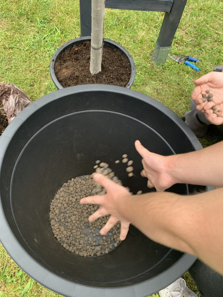 projekt przerwa (lekcja) pod palmami