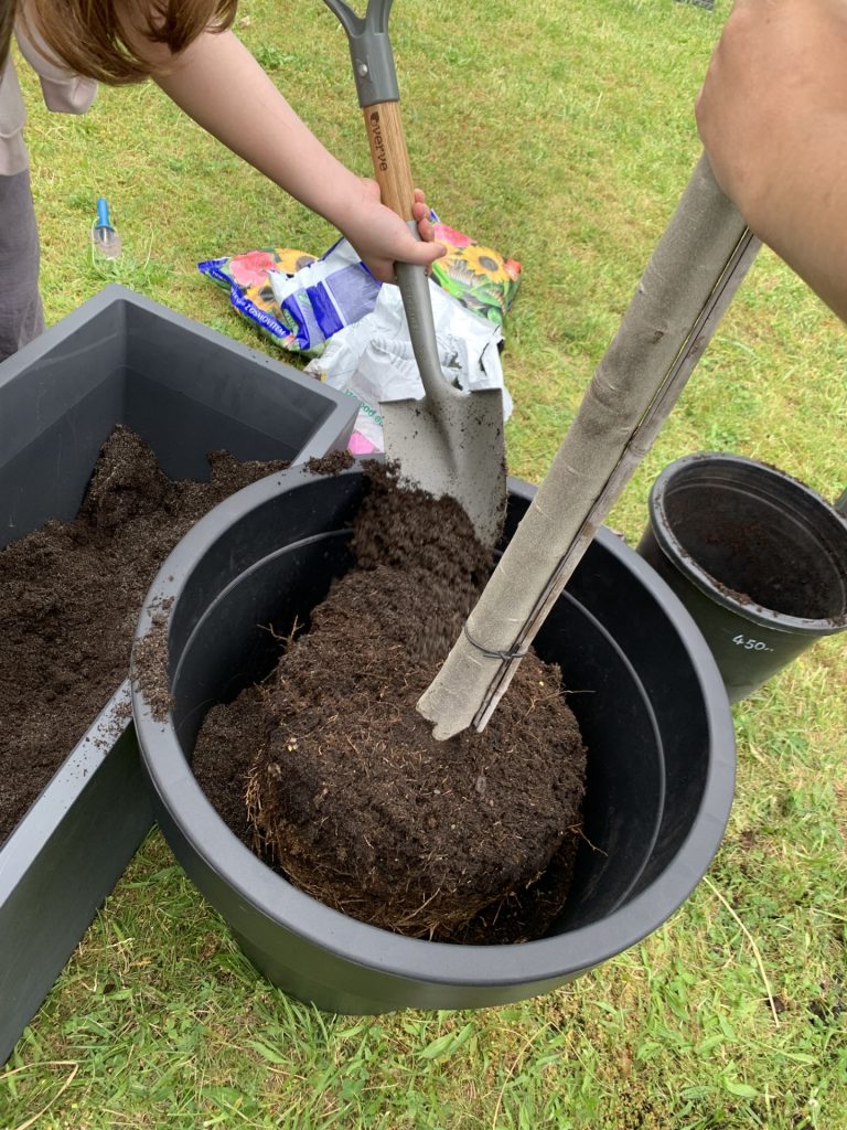 projekt przerwa (lekcja) pod palmami