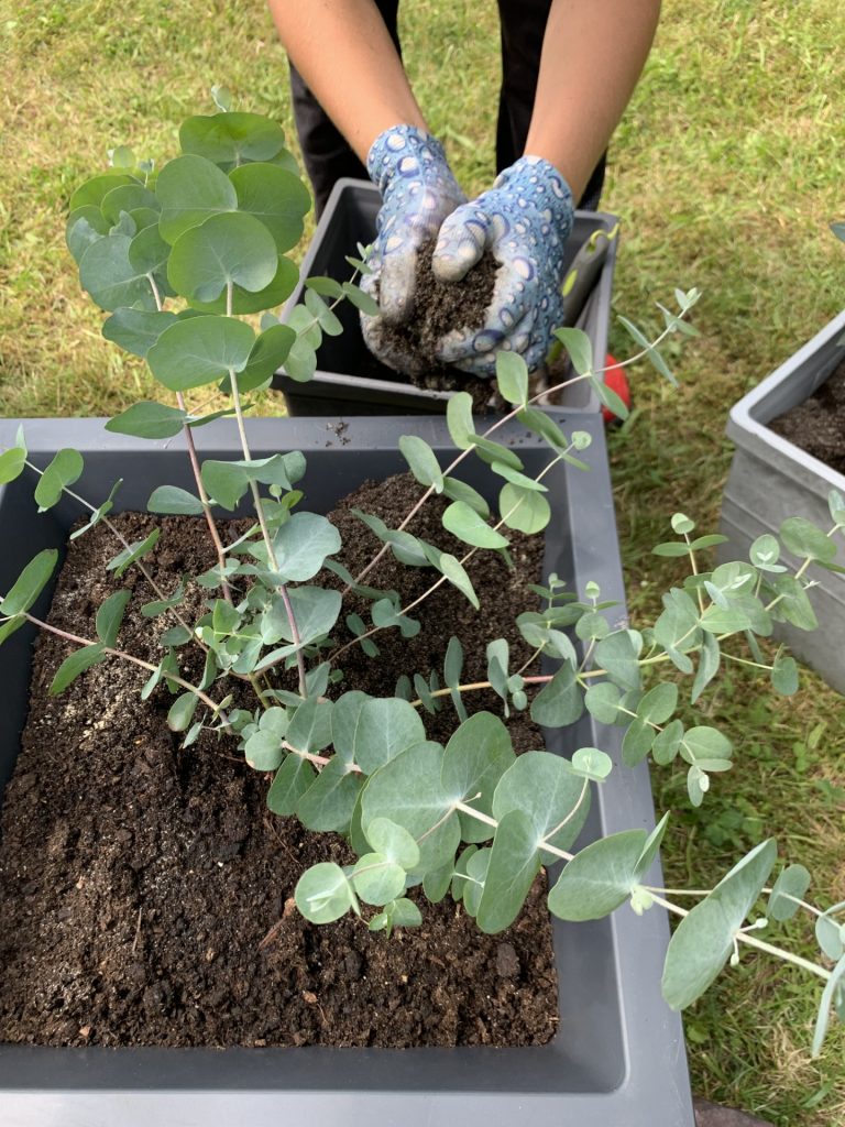 projekt przerwa (lekcja) pod palmami