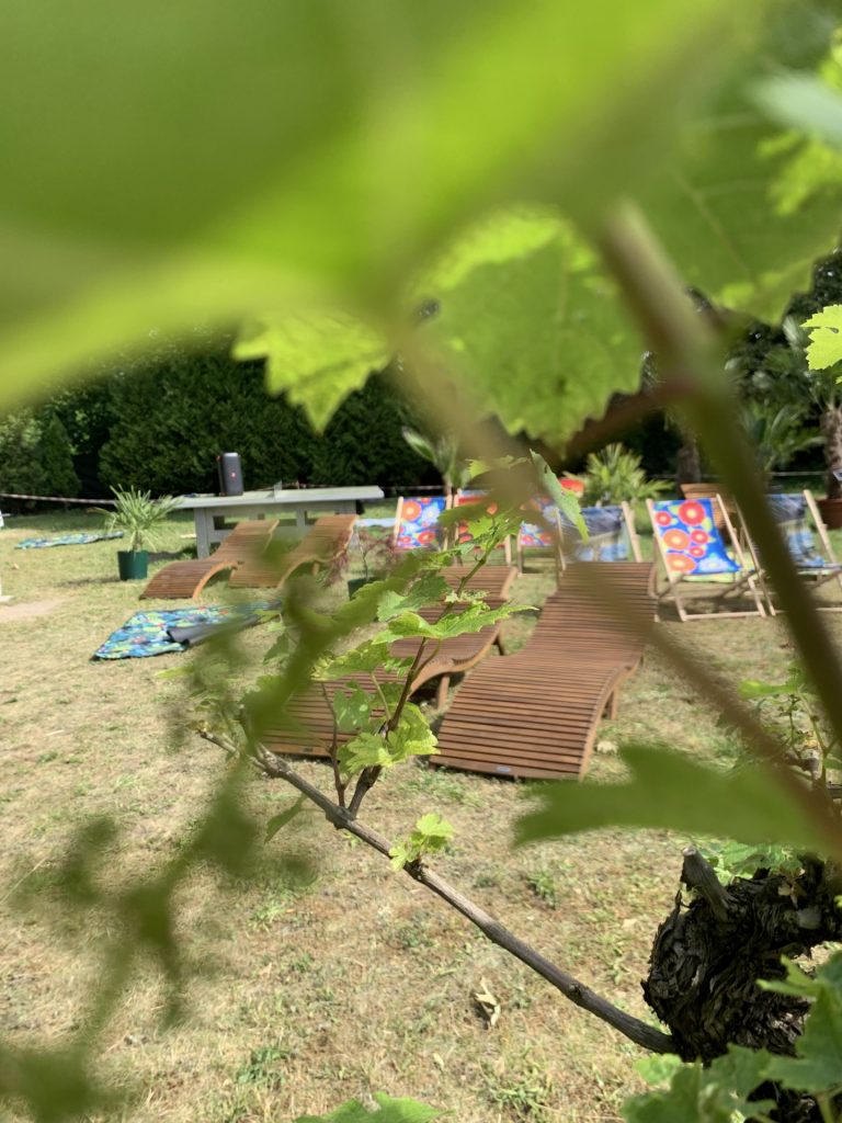 hortiterapia w sps7 rybnik