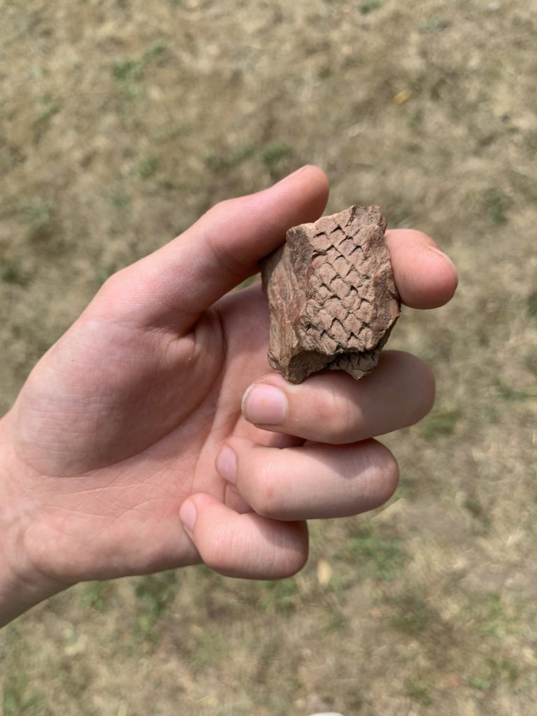 hortiterapia w sps7 rybnik