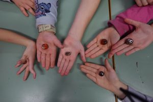 Interreg dzień pierwszy