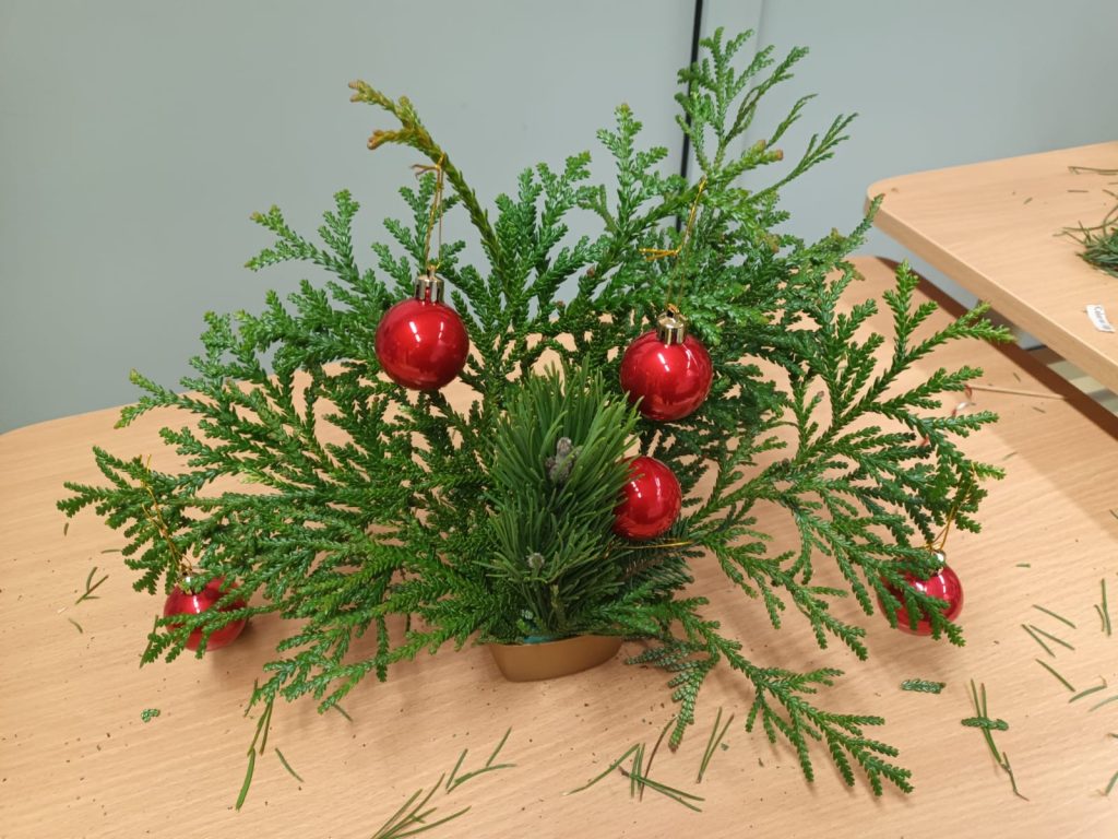 hortiterapia w sps7 rybnik uczniowie przygotowują świąteczne stroiki