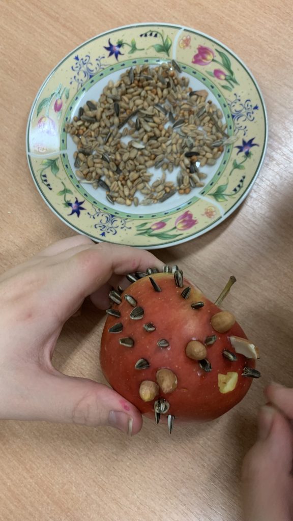 hortiterapia sps7 rybnik uczniowie przygotowują naturalne karmniki