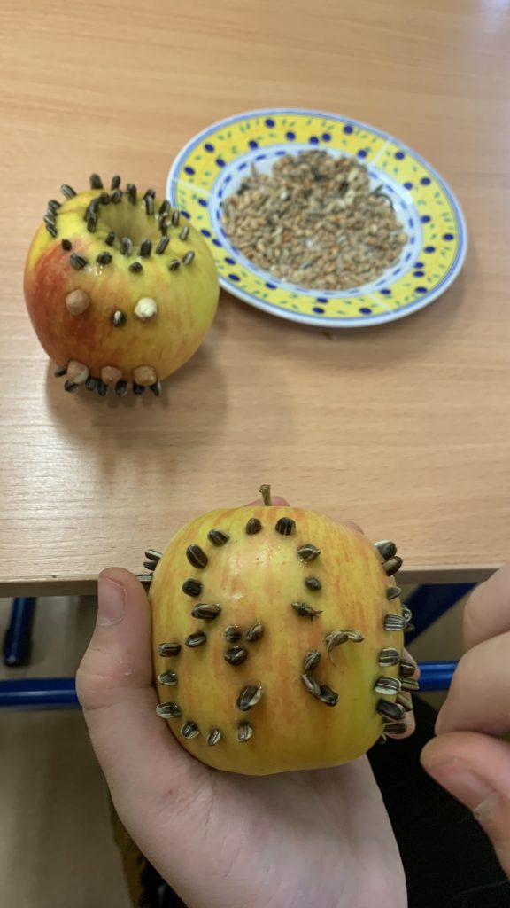 hortiterapia sps7 rybnik uczniowie przygotowują naturalne karmniki