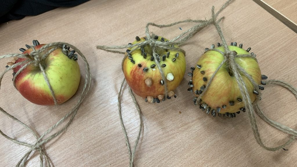 hortiterapia sps7 rybnik uczniowie przygotowują naturalne karmniki