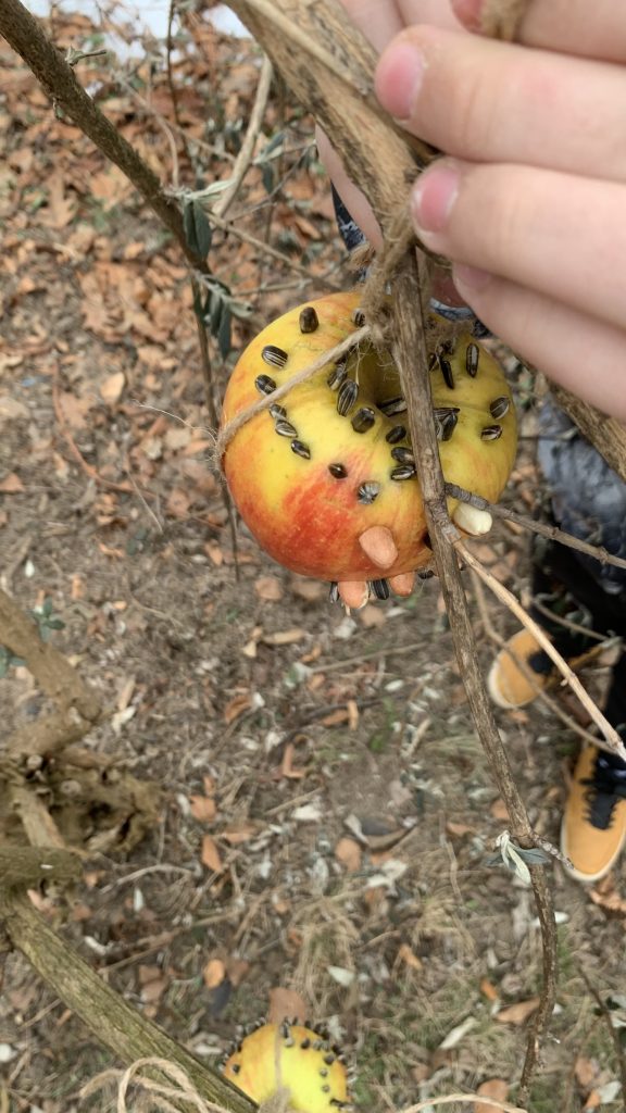 hortiterapia sps7 rybnik uczniowie przygotowują naturalne karmniki