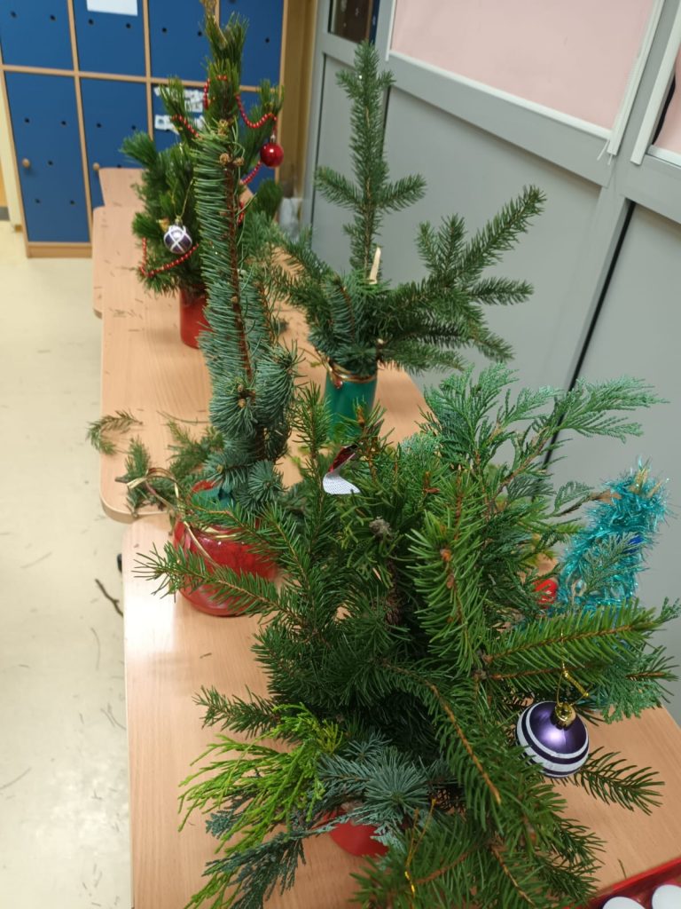 hortiterapia w sps7 rybnik uczniowie przygotowują świąteczne stroiki