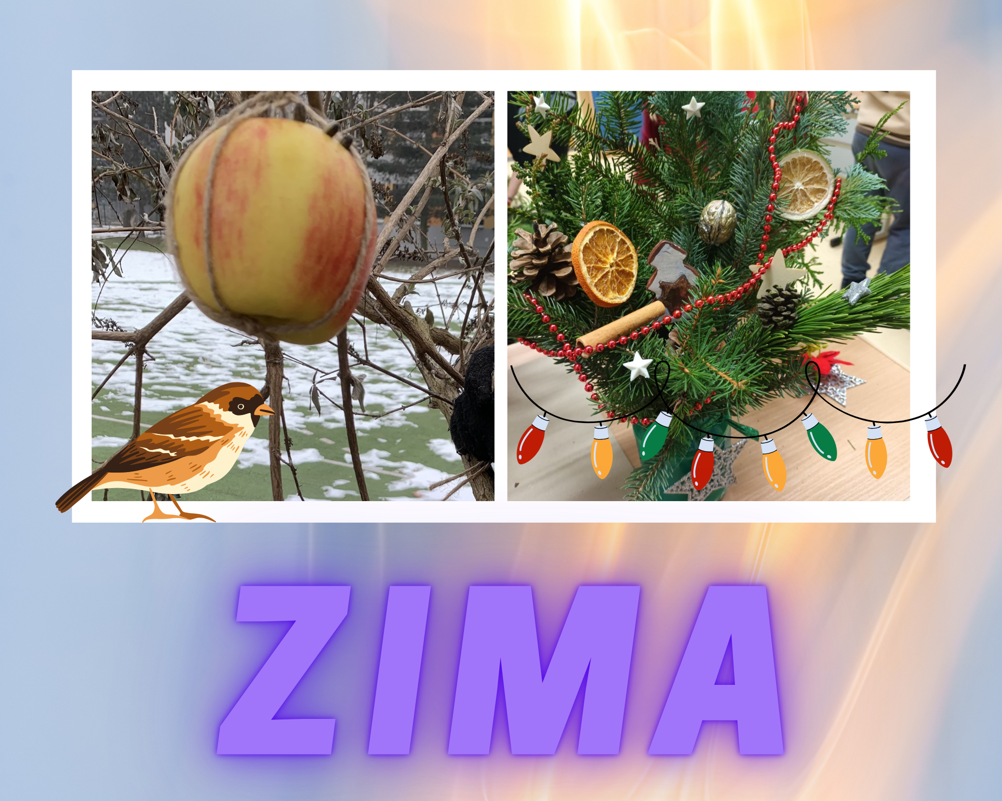 ZAJĘCIA HORTITERAPII SPS7 RYBNIK