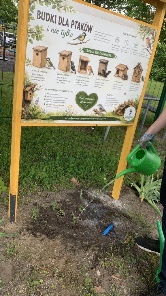 ekopracownia pod chmurką w sps7 rybnik
