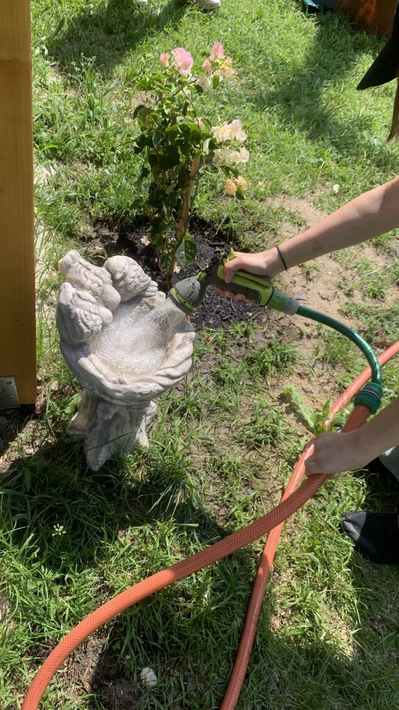 ekopracownia pod chmurką w sps7 rybnik