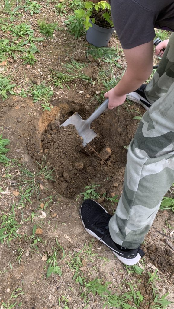 ekopracownia pod chmurką w sps7 rybnik